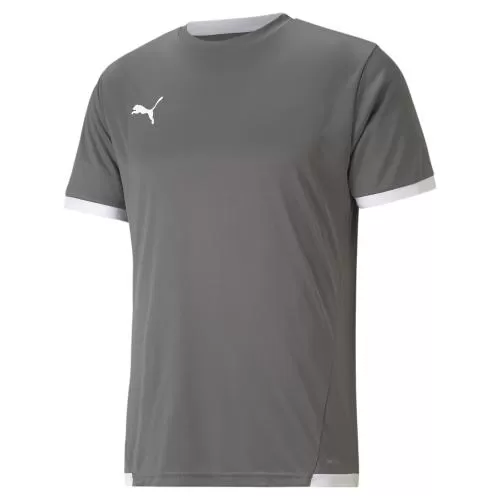Puma teamLIGA Jersey - Smoked Pearl-Puma White