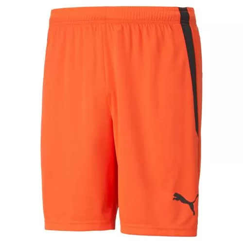 Puma teamLIGA Shorts - Nrgy Red-Puma Black
