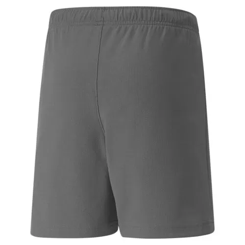 Puma teamRISE Short Jr - Smoked Pearl-Puma White