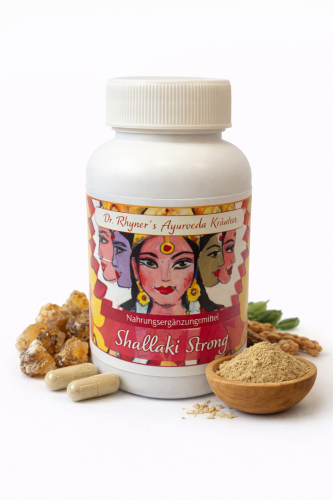 Shallaki Strong von Dr. Rhyner Ayurveda