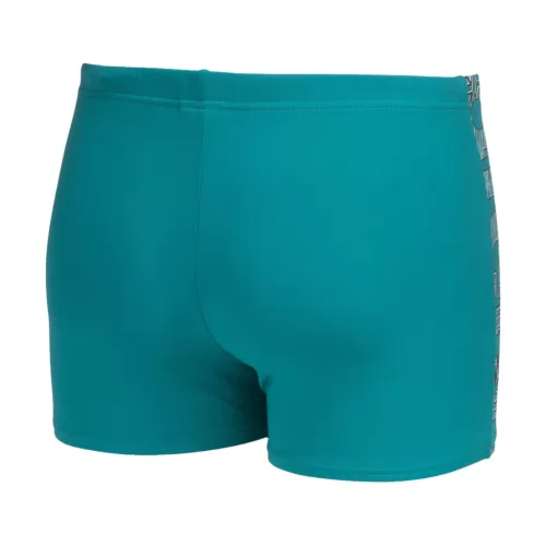Arena M Arena Kikko Pro Swim Short Graphic GRÜN