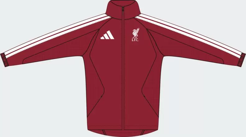 ADIDAS LFC H ANTH - ACTMAR