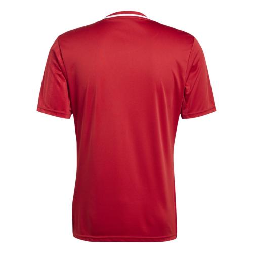 ADIDAS CAMPEON25 JSY M - TEPORE/WHITE