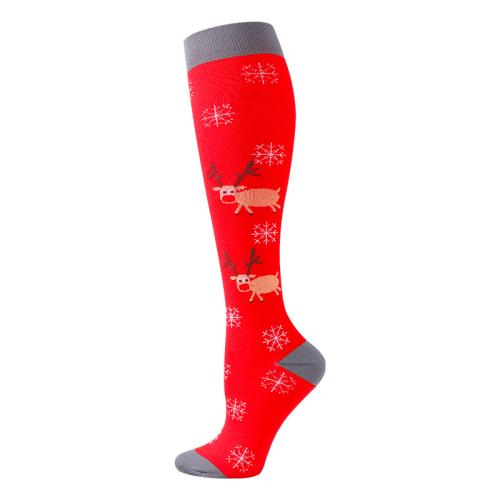 Airwing Skisocken Rudolf