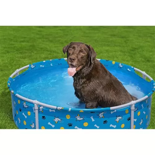 Bestway Fetchin' Fun Pet Play Pool 122 x 30,5 cm - blue