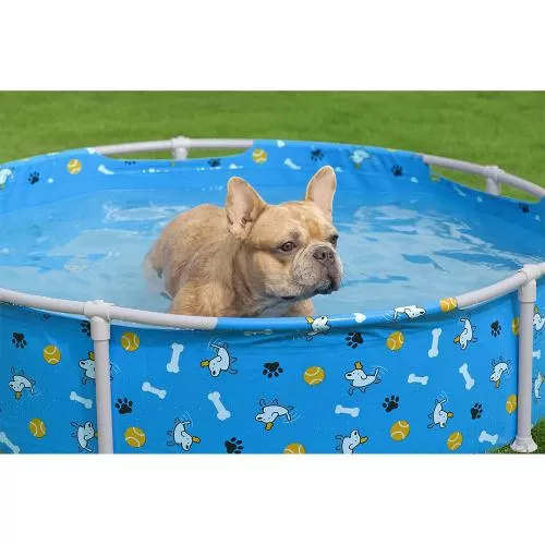 Bestway Fetchin' Fun Pet Play Pool 122 x 30,5 cm - blue