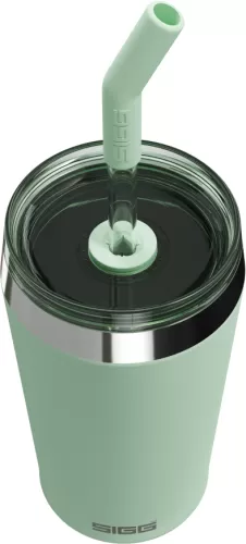 Sigg Helia Milky Green 0.45 L