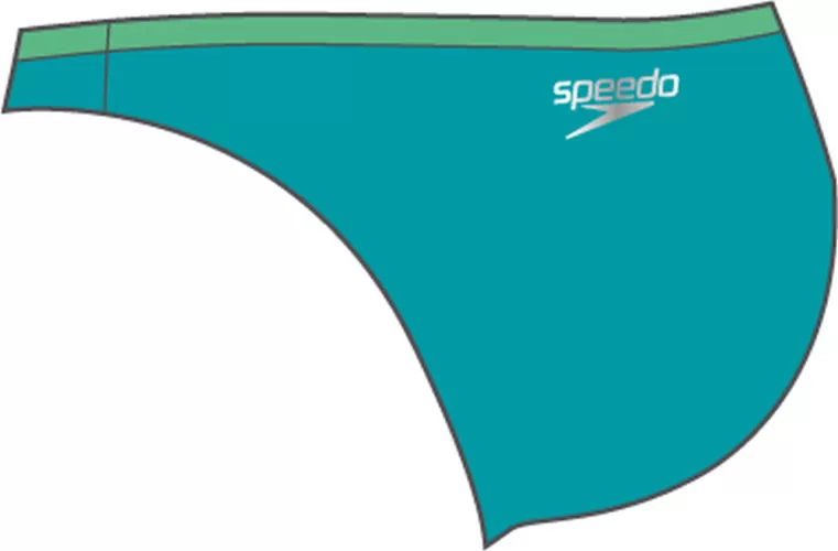 Speedo Solid Waistband Brief Swimwear Female Adult - Aquarium/Fake Gre