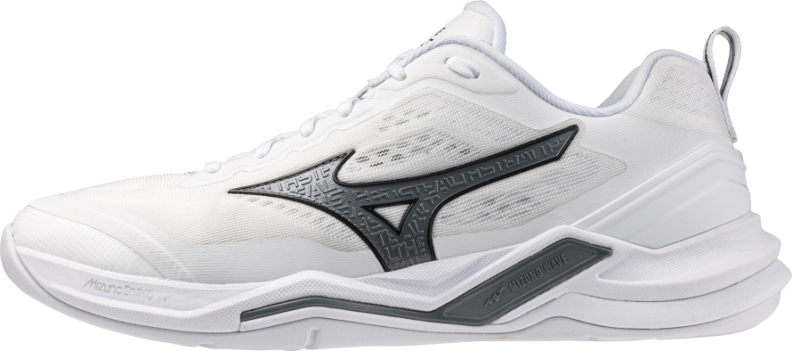 Mizuno Sport WAVE STEALTH ELITE Handball & Unihockey - white/metallic gray