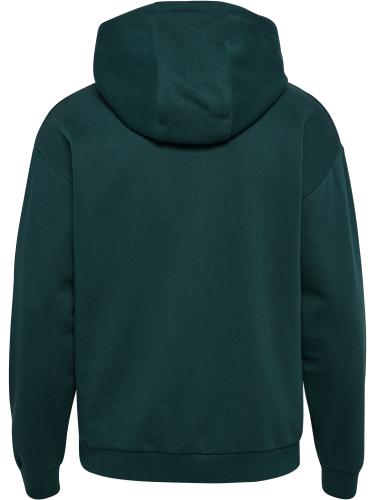 Hummel Hmlloose Hoodie Sportswear - ponderosa pine