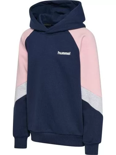 Hummel Hmljr Loose Blocked Hoodie - Dress Blue/Roseate Spoonbill
