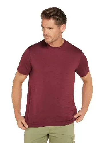Icebreaker Men Merino Mer 150 Tech Lite III SS Tee - port