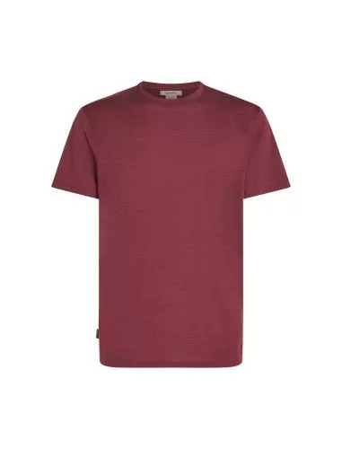 Icebreaker Men Merino Mer 150 Tech Lite III SS Tee - port