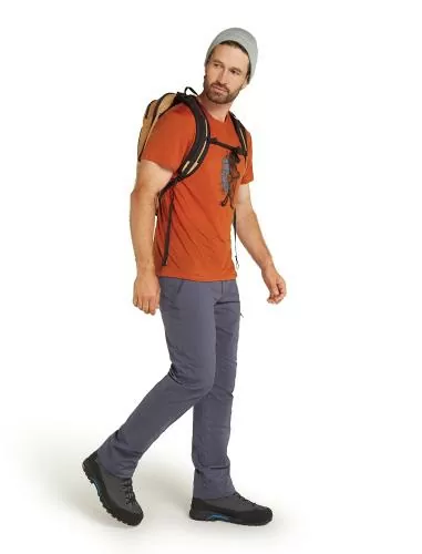 Icebreaker Men Merino Mer Core SS Tee Waschbar Wandering - molten