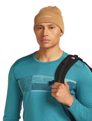 Icebreaker Unisex Merino All Day Toque Beanie - trail