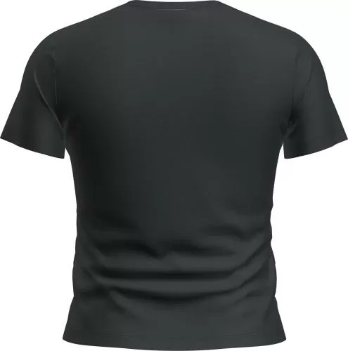 Icebreaker Women Merino 200 Tech Lite SS Crop Slim Tee - black