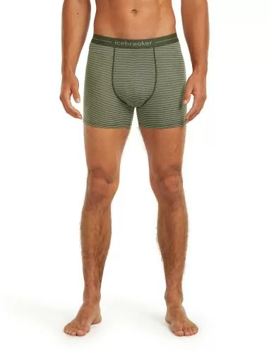 Icebreaker Men Merino 150 Anatomica Boxers - lichen
