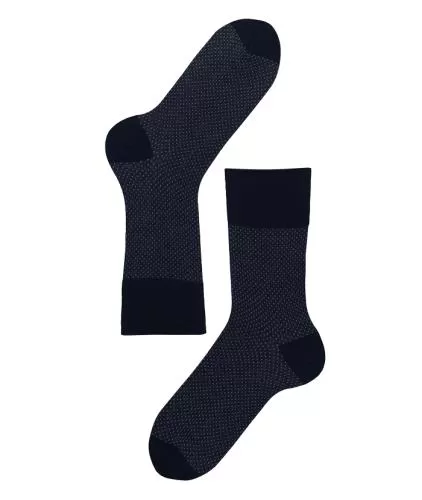 Lenz Longlife socks men 2er Pack - blue/multi stripes