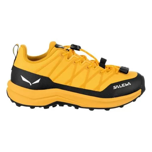 Salewa Wildfire 2 K - gold/gold