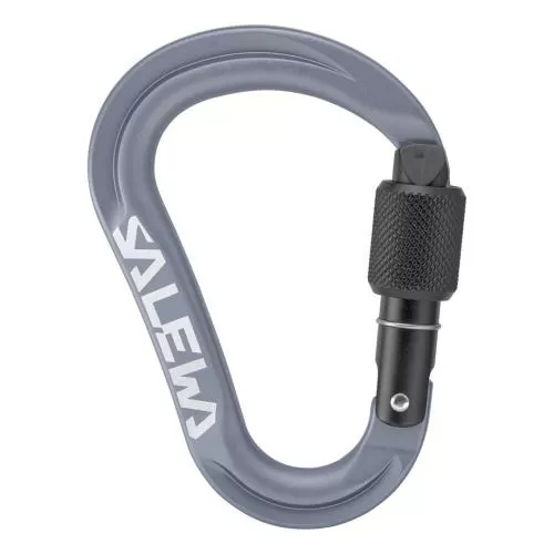 Salewa Ortles Hms S Carabiner - grey