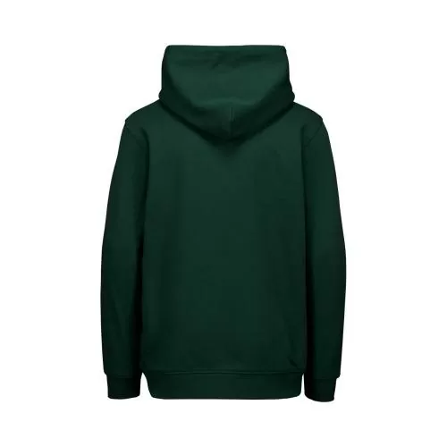 POC Hood Jr - Pargasite Green