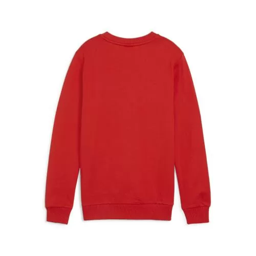 Puma teamGOAL Casuals Crew Neck Sweat Jr - puma red