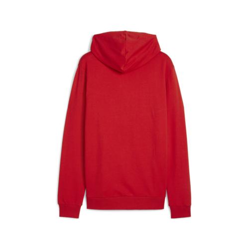 Puma teamGOAL Casuals Hoody - puma red