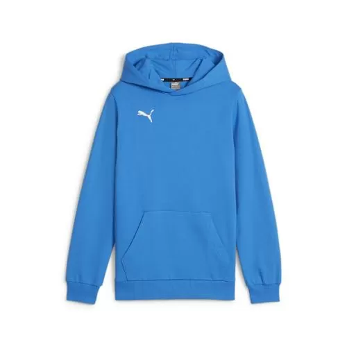 Puma teamGOAL Casuals Hoody Jr - ignite blue