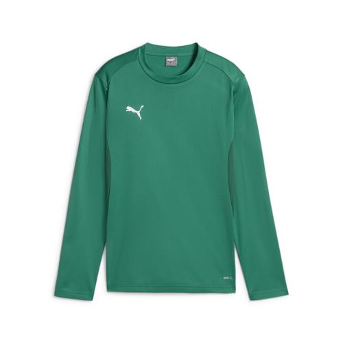 Puma teamGOAL Training Sweat Jr - sport green (Grösse: 164)