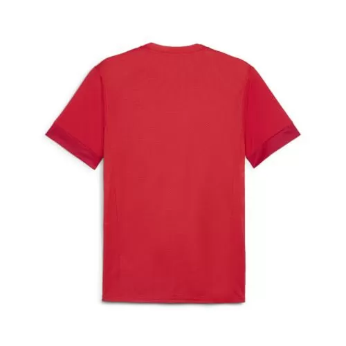 Puma teamGOAL Matchday Jersey - puma red