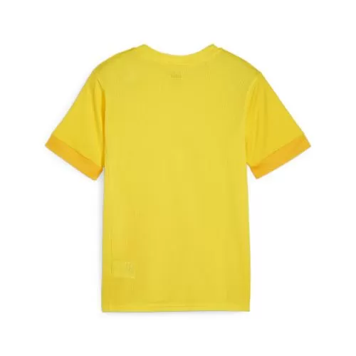 Puma teamGOAL Matchday Jersey jr - faster yellow