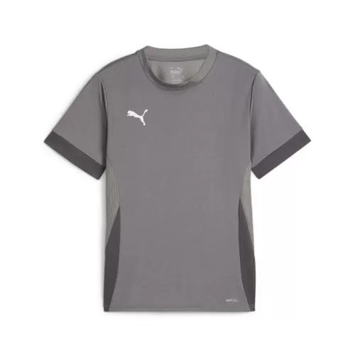 Puma teamGOAL Matchday Jersey jr - cast iron