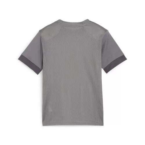 Puma teamGOAL Matchday Jersey jr - cast iron