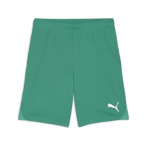 Puma teamGOAL Shorts - sport green