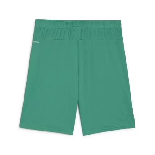 Puma teamGOAL Shorts - sport green
