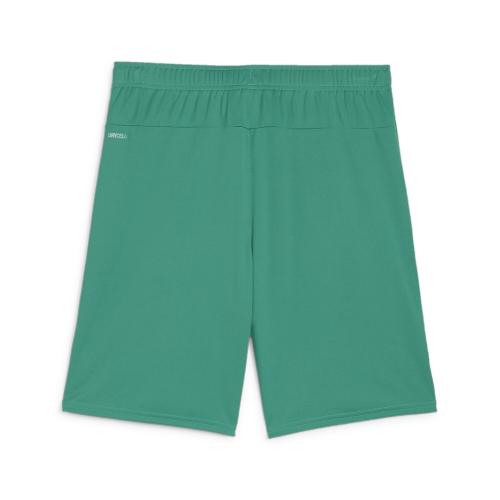 Puma teamGOAL Shorts - sport green
