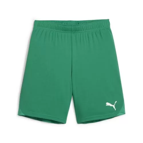 Puma teamGOAL Shorts Jr - sport green