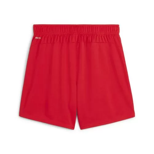 Puma teamGOAL Shorts Wmns - puma red
