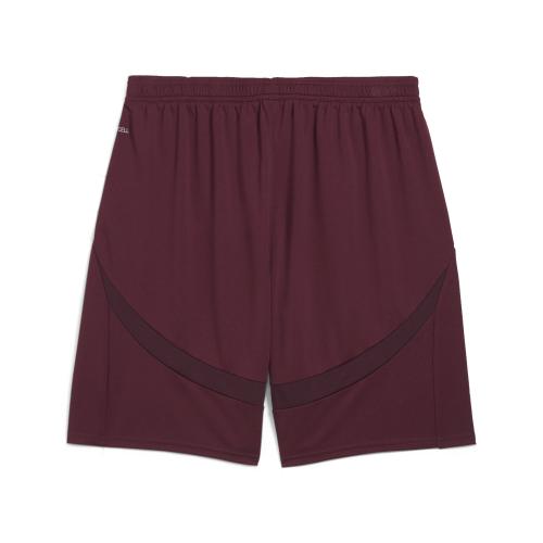 Puma MCFC Shorts Replica - dark jasper
