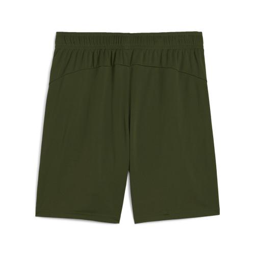 Puma BVB Training Shorts - myrtle