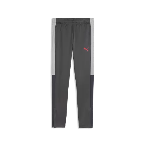 Puma IndividualLIGA Training Pants Jr - strong gray