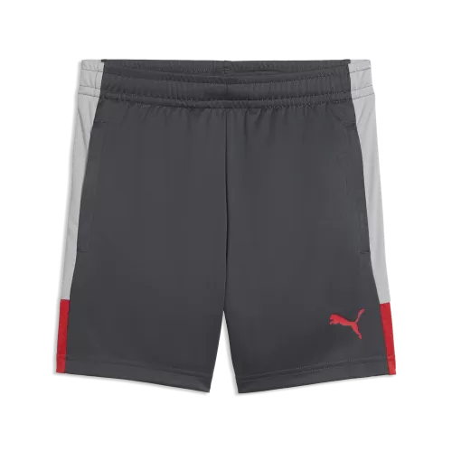 Puma IndividualLIGA Training Shorts Jr - gray echo