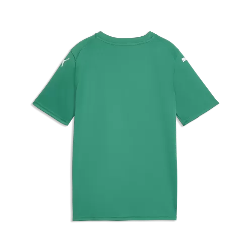 Puma teamFINAL Graphic Jersey Jr - sport green