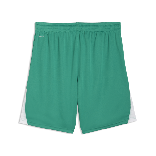 Puma teamLIGA26 Shorts - sport green