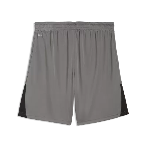 Puma teamLIGA26 Shorts - flat medium gray