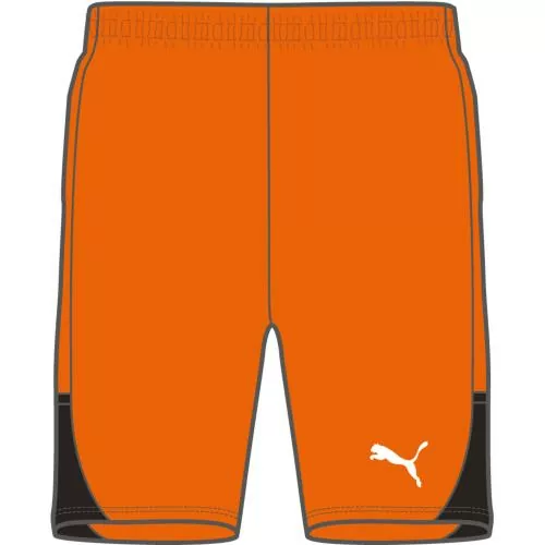 Puma teamLIGA26 Shorts Jr - rickie orange