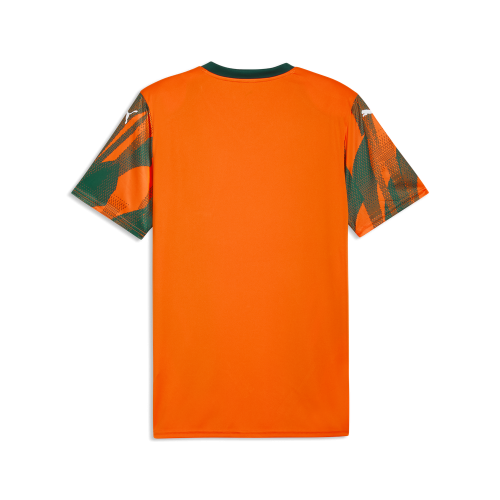 Puma teamFINAL Graphic Jersey - rickie orange