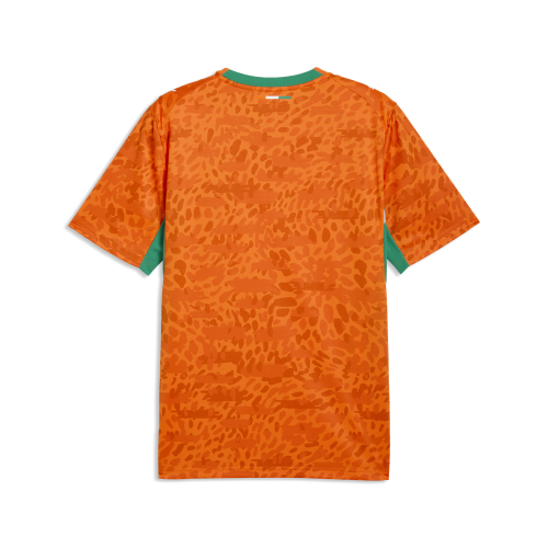 Puma FIF Home Jersey Replica - rickie orange