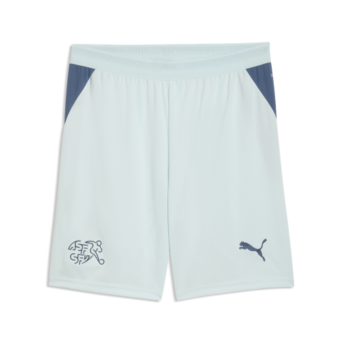 Puma SFV Shorts Replica - sea glass