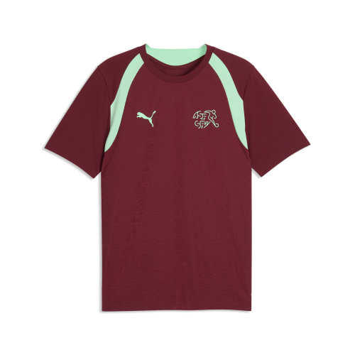 Puma SFV Training Jersey - team regal red